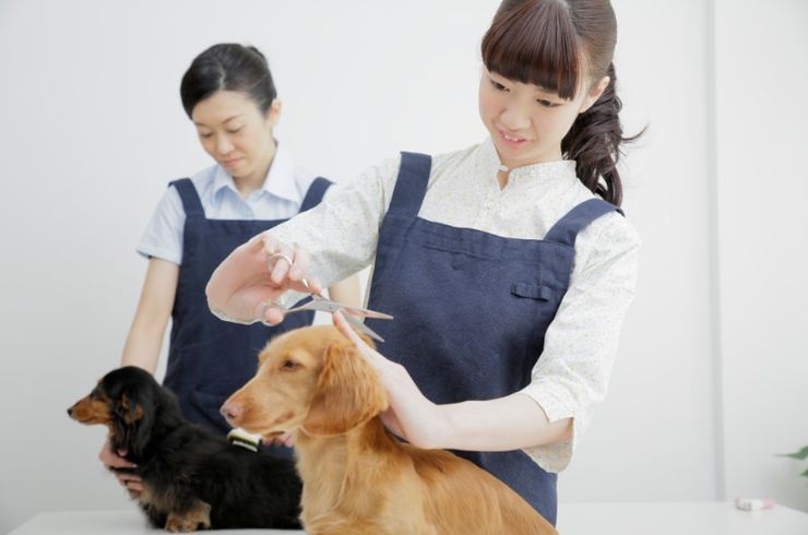 お客様のお声